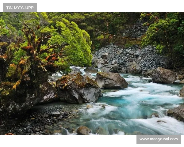 探索永歌森林中的自然奥秘与绿意之旅揭开生态的神秘面纱 探索永歌森林中的自然奥秘与绿意之旅揭开生态的神秘面纱